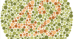 42 - In case you're color blind