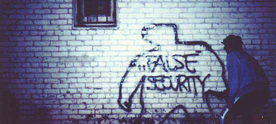 WordPress False Security